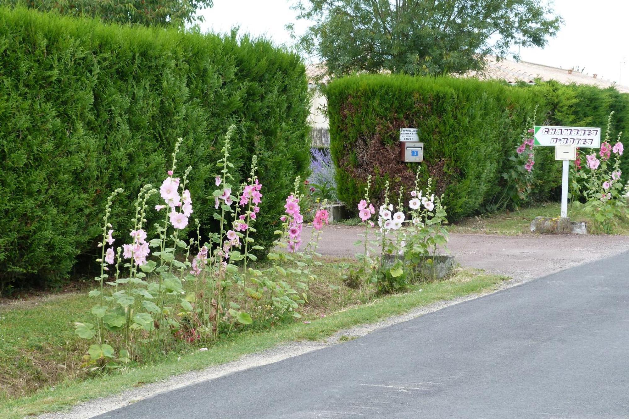 Chambre D'Hotes Les 3 Moulins Cozes Exterior photo